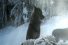 poster-21139-shangri-la-hotel-wolves-68x45