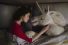 poster-21140-juicy-fruit-juicy-secret-gum-unicorn-serenades-sarah-silverman-68x45