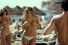 poster-21195-axe-gel-douche-douche-a-la-plage-68x45