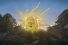 poster-21216-starburst-sun-68x45