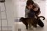 poster-21475-target-diapers-sniff-test-68x45
