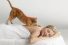 poster-21488-cat-s-pride-fresh-light-light-massage-cat-68x45