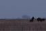 poster-21501-equidia-le-documentaire-68x45