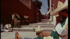 poster-2152-pulco-citron-les-mexicains-236x132