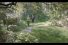 poster-21636-property24-property24-com-wishing-well-68x45