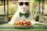 poster-21753-cassegrain-le-retour-du-lapin-68x45