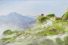 poster-22061-twinings-hill-68x45