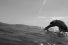 poster-22153-giorgio-armani-acqua-di-gio-apollon-entre-ciel-et-mer-68x45