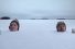 poster-22194-bengay-zero-degrees-snow-heads-68x45