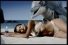 poster-2230-grand-blue-eau-petillante-beach-68x45