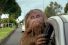 poster-22319-jack-link-s-beef-jerky-car-pool-68x45