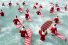 poster-22616-aldi-the-perfect-aussi-christmas-68x45