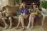 poster-22819-property24-com-video-machine-68x45