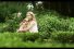 poster-23051-swisse-wellness-nicole-kidman-68x45