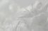 poster-23078-ugg-australia-here-comes-spring-68x45