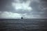 poster-23116-national-geographic-channel-tuna-68x45