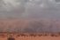 poster-23203-national-geographic-nat-geo-wild-tempete-68x45