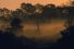 poster-23205-national-geographic-nat-geo-wild-jungle-68x45