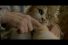 poster-23485-devondale-crazy-cat-lady-68x45