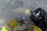 poster-23691-gopro-fireman-saves-kitten-68x45