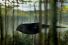 poster-23834-freeview-tadpoles-68x45