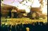 poster-2436-zurich-cochons-volants-68x45