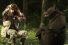 poster-24493-tipp-ex-a-hunter-drunks-a-bear-68x45