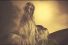poster-24499-poise-lady-godiva-68x45