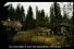 poster-2464-posten-lettre-entre-freres-68x45