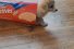 poster-24677-mcvitie-s-digestives-original-puppies-68x45