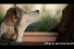 poster-24720-credit-mutuel-toby-parc-68x45