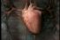 poster-2492-xbox-360-le-coeur-vert-68x45