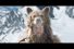 poster-25002-coors-light-say-yes-to-adventure-68x45