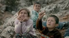poster-25027-turkish-airlines-kids-236x132