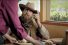 poster-25370-coco-s-bakery-cowboys-68x45