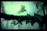 poster-2554-royco-minute-soup-reve-de-tarzan-68x45