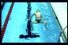 poster-2705-chili-magazine-pisser-dans-la-piscine-68x45
