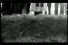 poster-2807-spare-no-reversing-68x45