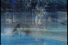poster-281-rai-tv-piscine-68x45