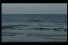 poster-2835-optimus-3g-la-baleine-68x45