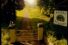poster-2962-kerrymaid-pampered-cows-68x45