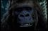 poster-304-swisscom-joker-68x45