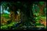 poster-3066-unicef-anti-guerre-the-smurfs-68x45