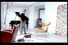 poster-3094-miele-dog-68x45