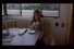 poster-3112-olympus-distorted-dogs-68x45