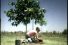poster-3151-hasselfors-the-hammock-68x45
