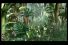 poster-3211-petra-magazine-feminin-jungle-68x45