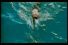 poster-3223-moshi-moshi-sushi-jaws-68x45