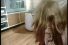poster-3261-erotika-sexshop-toys-68x45