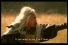 poster-3380-siang-pure-medicated-oil-confusing-paternity-68x45